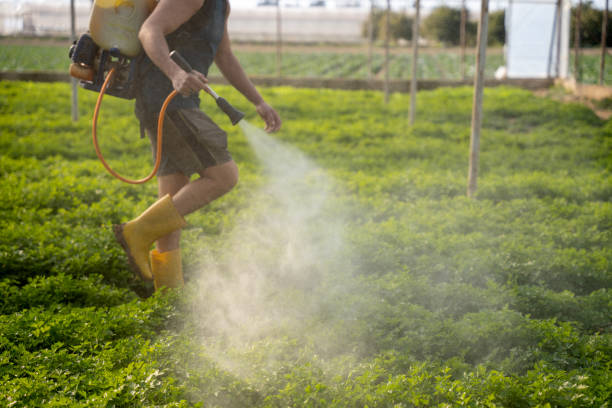 Best Pest Control Treatment  in Dayton, TN