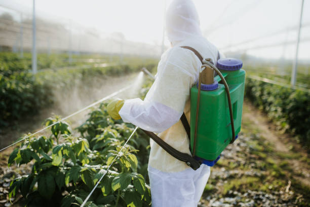 Best Commercial Pest Control Services  in Dayton, TN